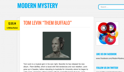 Review of Them Buffalo, Tom Levin, ModernMysteryBlog